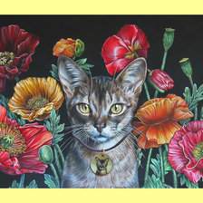 Схема вышивки «Кот и маки.»