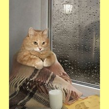 Схема вышивки «№1994913»