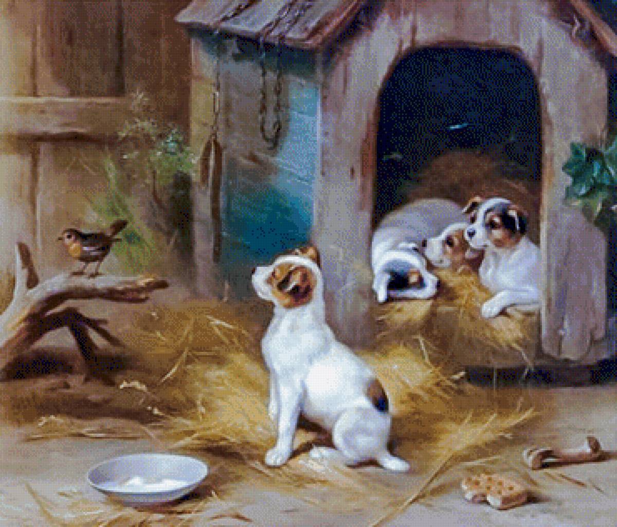 The Puppies. - scenarys.animals.birds. - предпросмотр