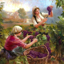 Схема вышивки «The Vine.»