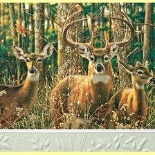 Схема вышивки «№1995327»