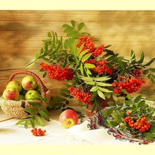 Схема вышивки «№1995346»