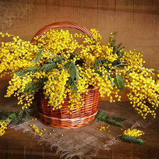 Схема вышивки «№1995362»