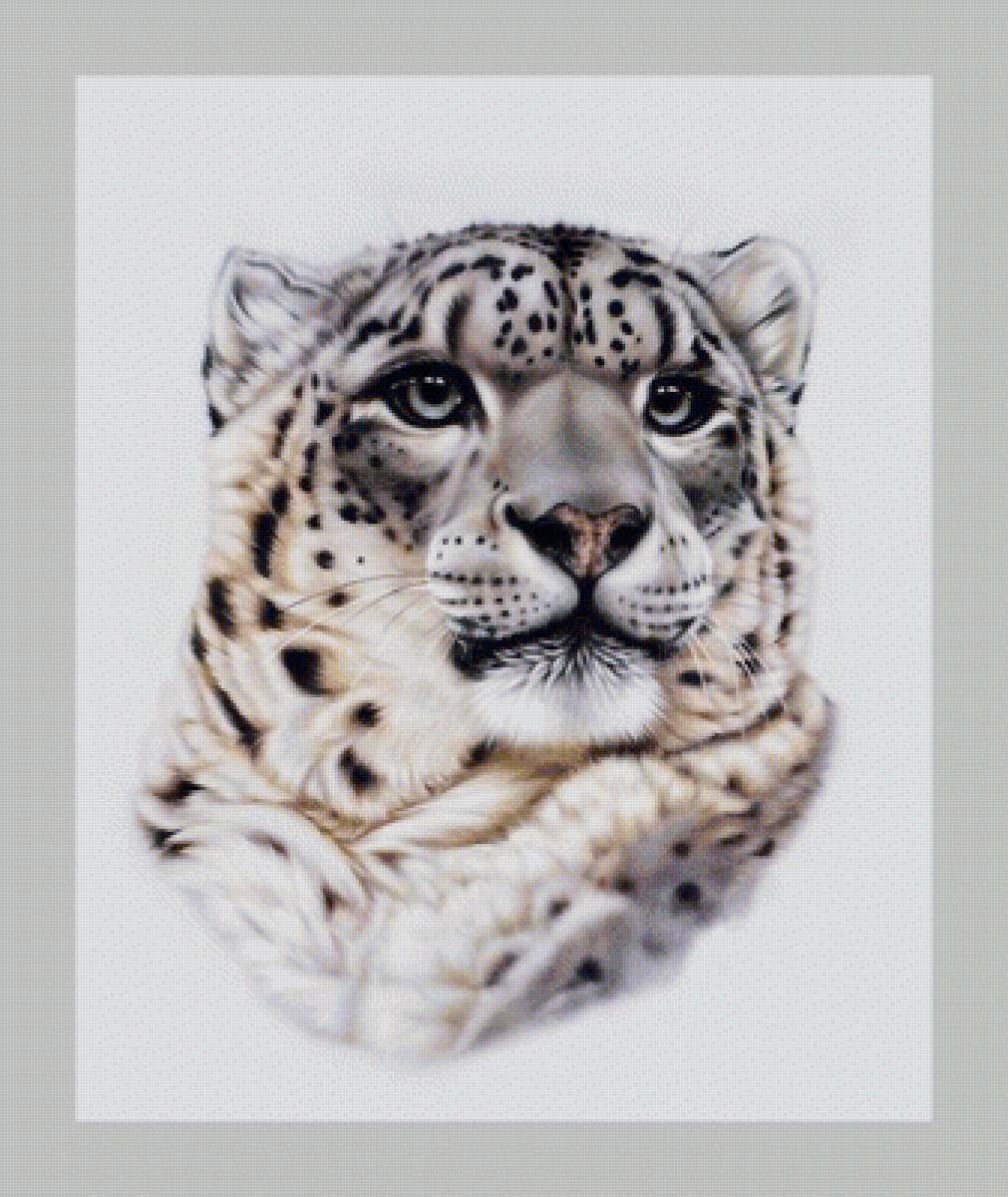 №1995386 - хищники, животные - предпросмотр