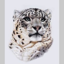 Схема вышивки «№1995386»