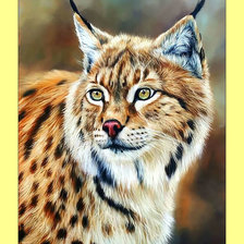 Схема вышивки «Рысь.»