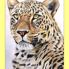 Схема вышивки «Леопард.»