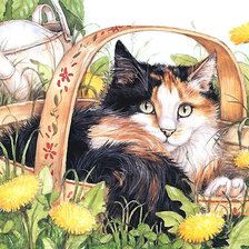 кошка в одуванчиках