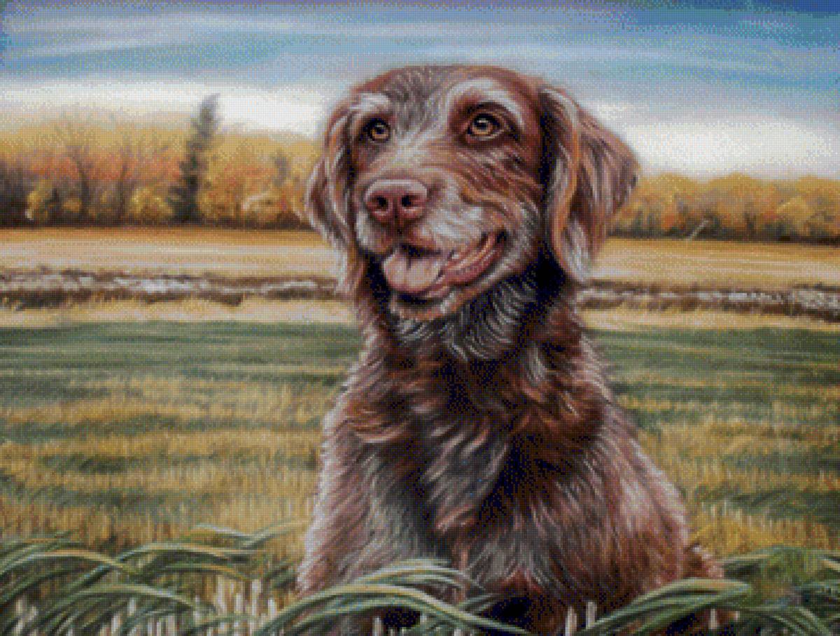 Dog Portrait. - c.k.christman painter.animals.portraits. - предпросмотр