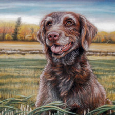 Схема вышивки «Dog Portrait.»