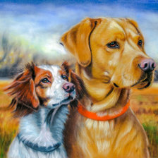 Схема вышивки «Two Dogs.»