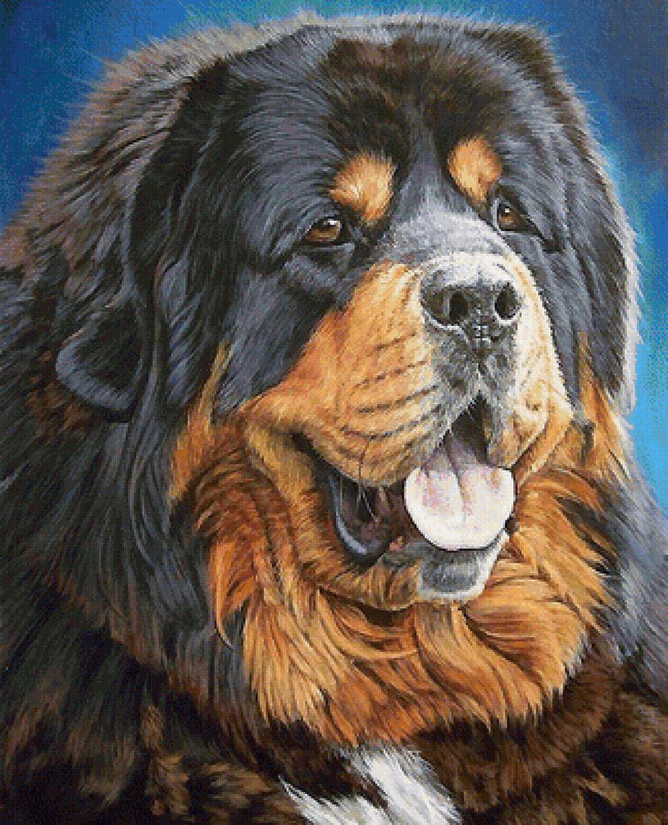 собака - собаки - предпросмотр