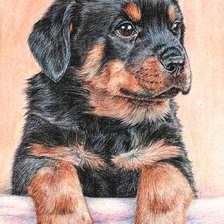 Схема вышивки «щенок»