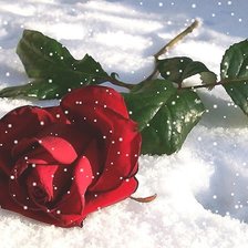 Схема вышивки «№1995478»