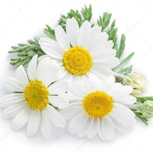 Схема вышивки «цветы»