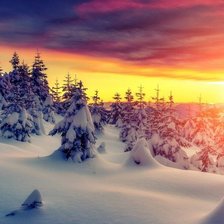 Схема вышивки «№1995495»