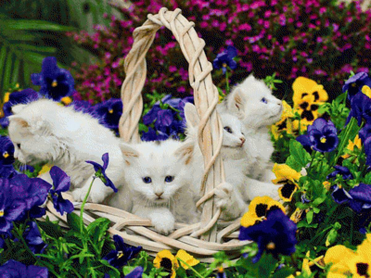 №1995514 - котята, цветы, корзина - предпросмотр