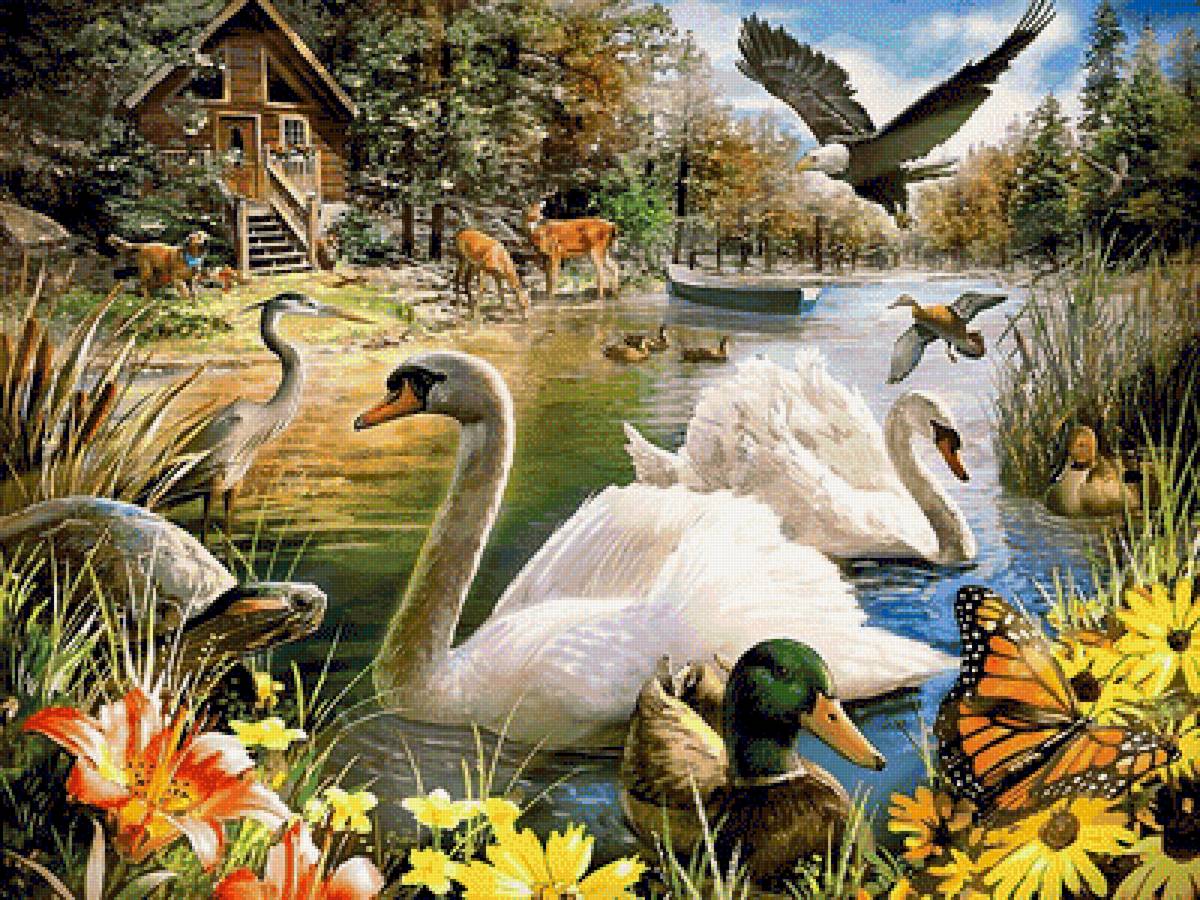 gamta - vita.s - предпросмотр