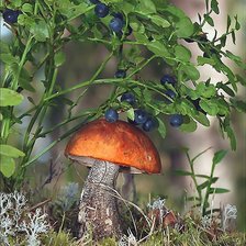 Схема вышивки «№1995685»