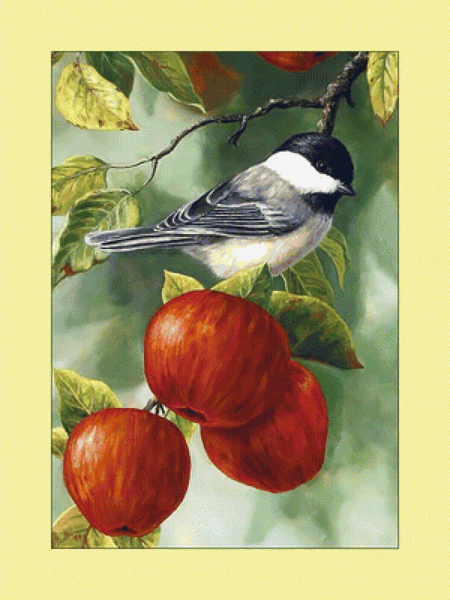 Синица на яблоне. - яблоки, живопись, птицы, синица - предпросмотр