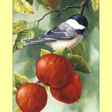 Схема вышивки «Синица на яблоне.»