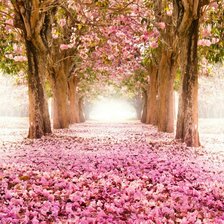 Схема вышивки «Вишневая аллея (Гамма)»