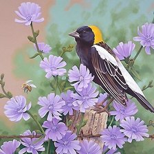 Схема вышивки «№1996103»