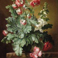 Схема вышивки «маки»