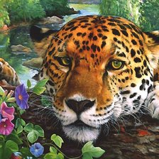 Схема вышивки «№1996183»