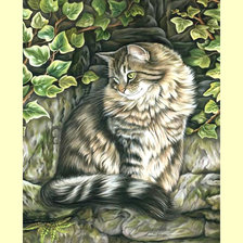 Схема вышивки «Котейка.»