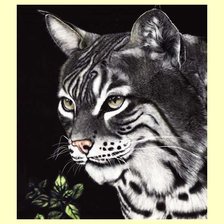 Схема вышивки «№1996287»