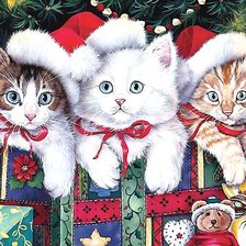 котята под ёлкой