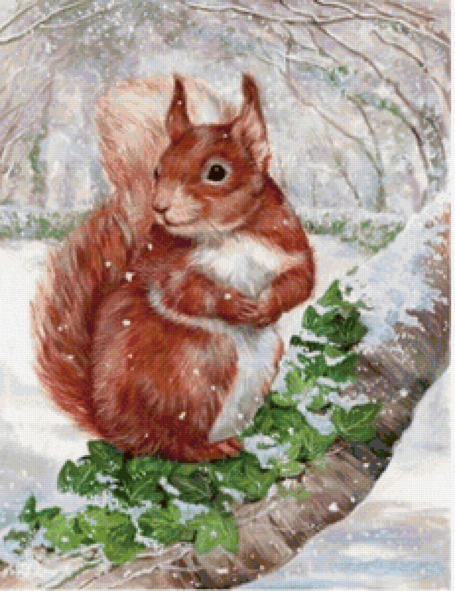 Белочка - предпросмотр