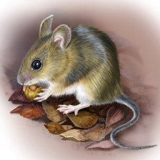 символ года