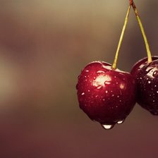 Схема вышивки «Вишня»