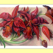 Схема вышивки «Цветы.»