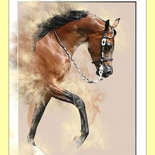 Схема вышивки «Конь.»