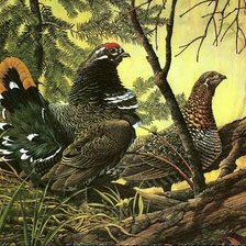 Схема вышивки «№1996598»