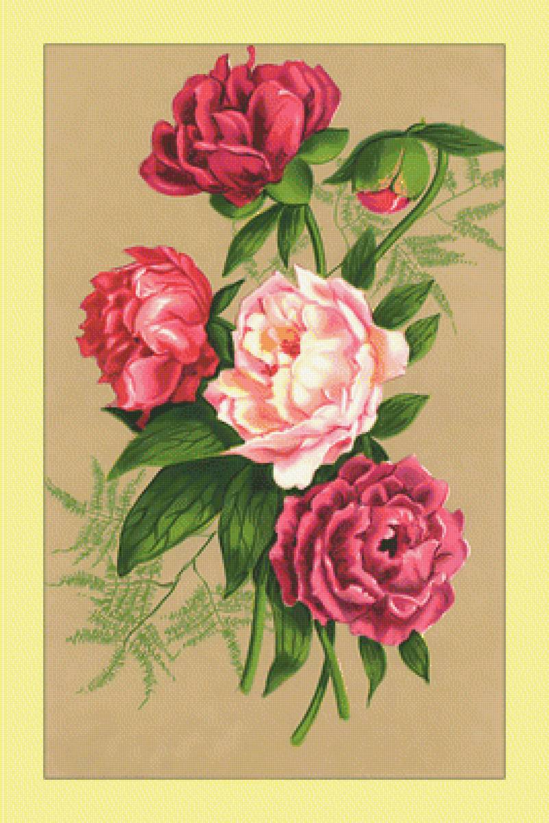 Пионы.Букет. - живопись, цветы, пионы, букет - предпросмотр