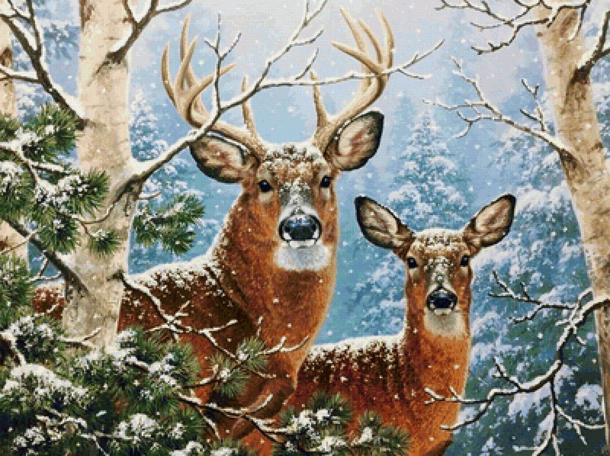 Олени - лес, олени, зима, животные, снег - предпросмотр