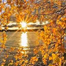 Схема вышивки «осень»