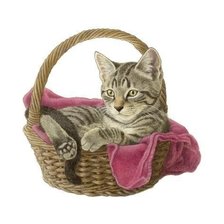 Схема вышивки «№1997559»