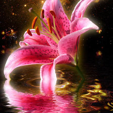 Схема вышивки «№1997569»