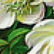 Предпросмотр схемы вышивки «Букет» (№1997810)