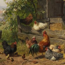 Птичий двор