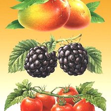 Схема вышивки «№1998109»