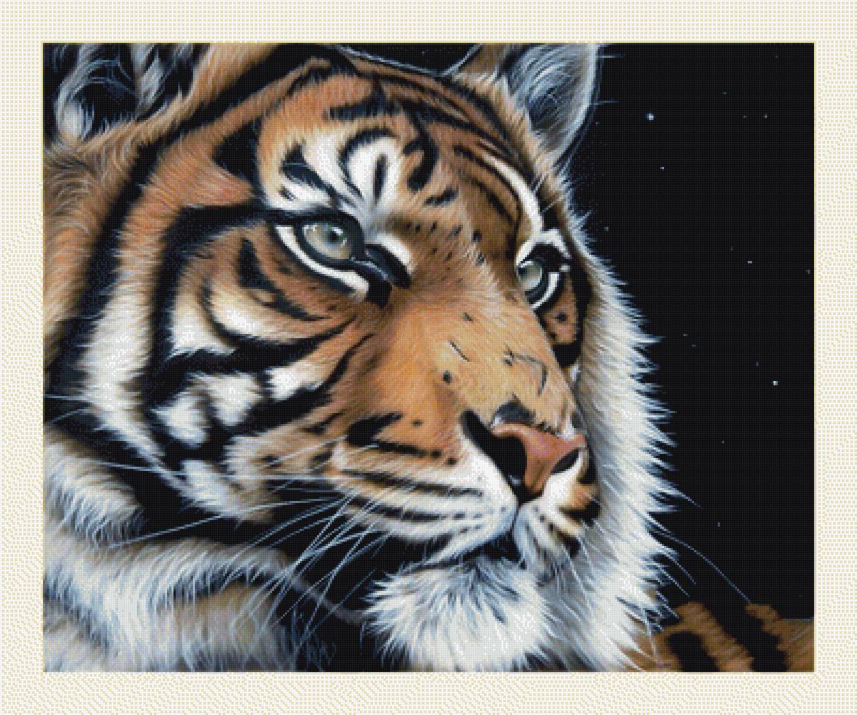 №1998122 - тигры, животные, хищники, тигр - предпросмотр