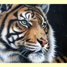 Схема вышивки «№1998122»