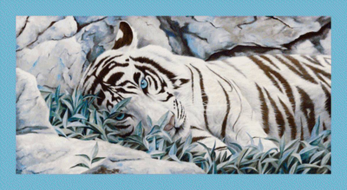 №1998123 - тигр, хищники, тигры, животные - предпросмотр