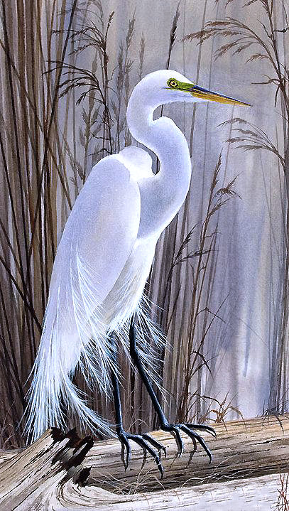 Серия "Птицы" - фауна, птицы - оригинал